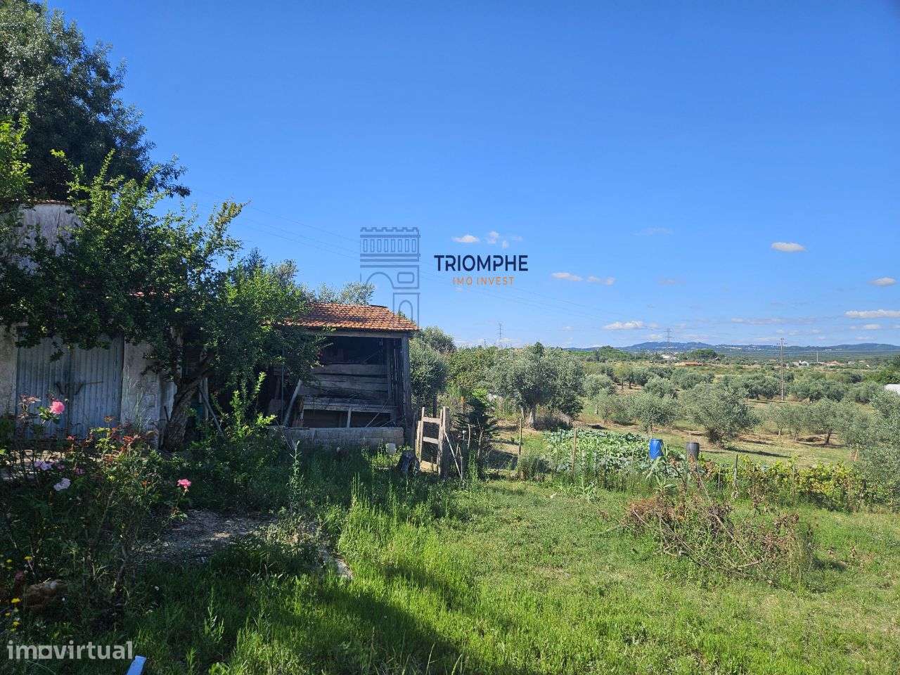 Quinta terreno rústico, com parcela urbana Tomar - Grande imagem: 2/16