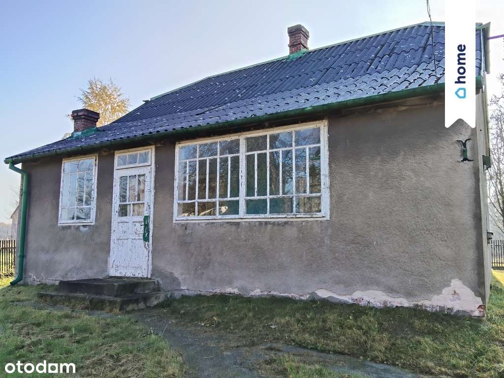 Dom, Blisko Puszczy, Spokojna okolica Działka 9ar - Pełny obrazek: 4/15