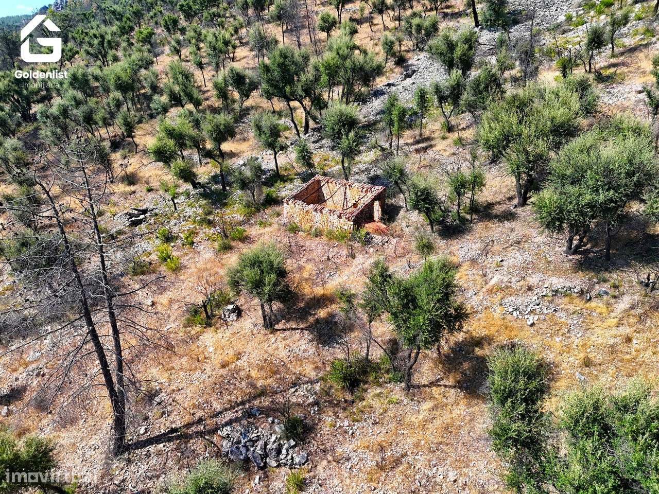 Terreno  Venda em Espírito Santo, Nossa Senhora da Graça e São Simão,N-10