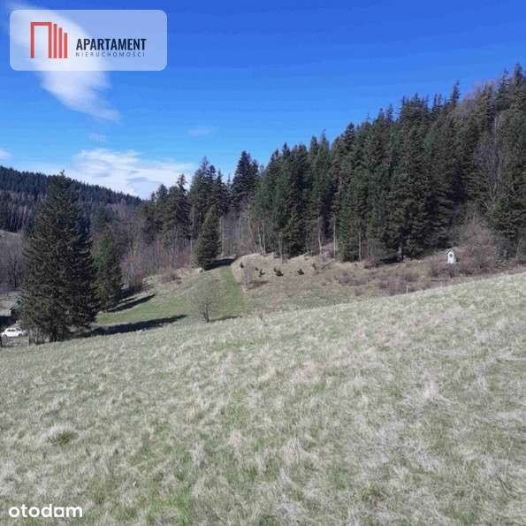 Tylko u nas! Góry/Piękny widok działki 2000mkw - Pełny obrazek: 4/6