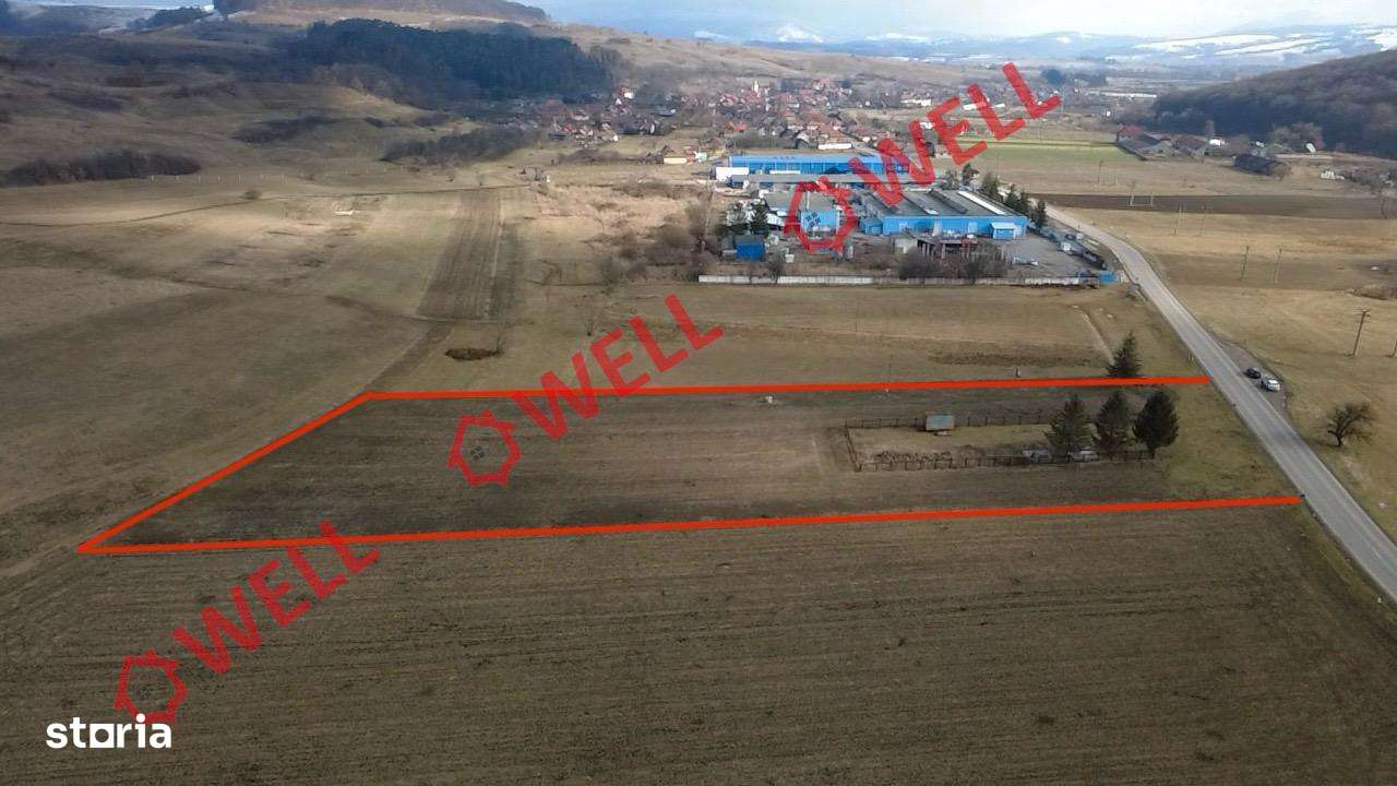 De vânzare teren în Sat Biborțeni - Imagine principală: 5/5