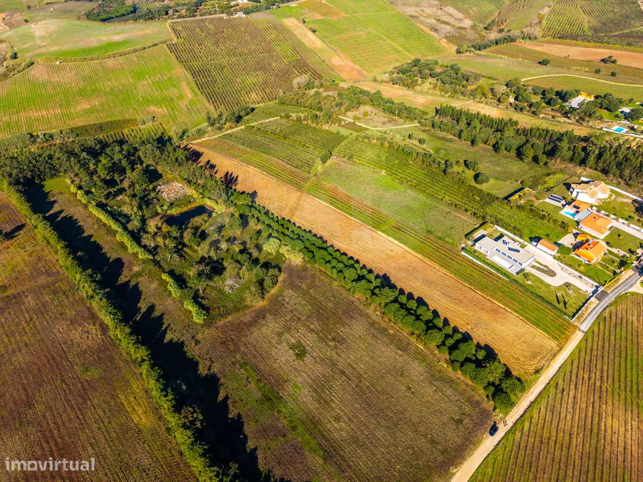 Terreno de 7240m2 com vista deslumbrante para a Serra do Montejunto - Grande imagem: 4/9