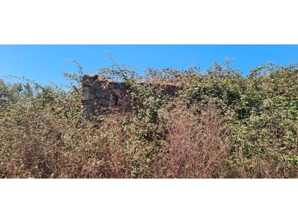 Monte Alentejano-10