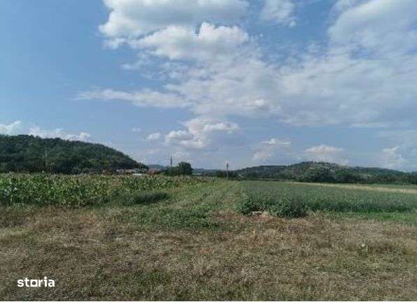 Cota de 1/2 din teren 2356 mp Com. Mihaesti, jud Valcea - Imagine principală: 1/4