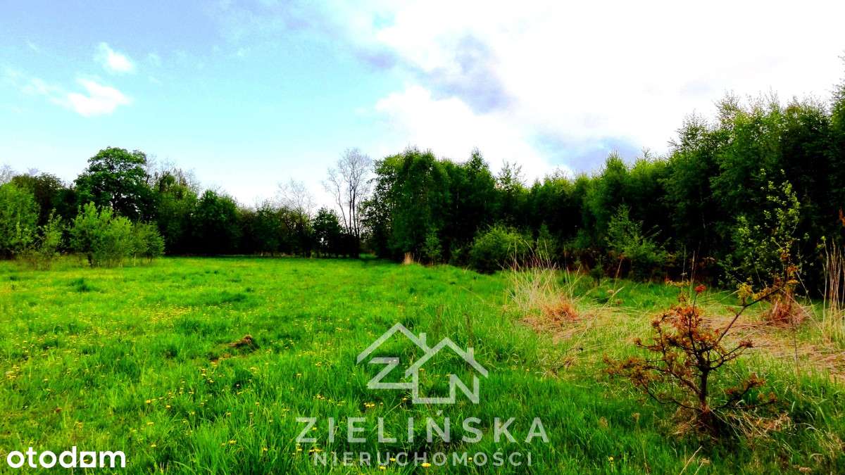 Grunty pod zabudowę lub fotowoltaikę – 10 ha,-10