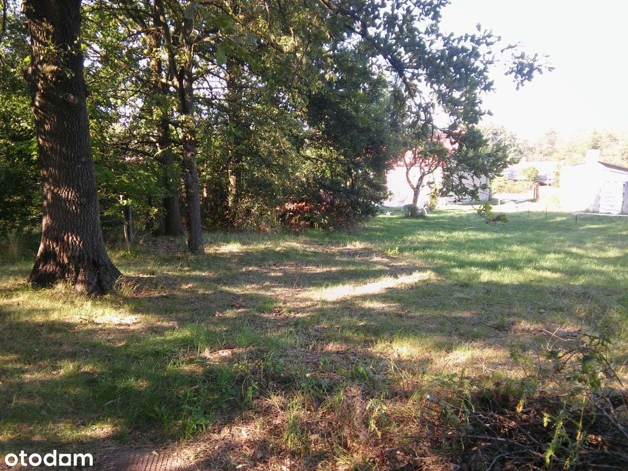 Działka 1266 m² z mediami w spokojnej okolicy - Pełny obrazek: 4/5