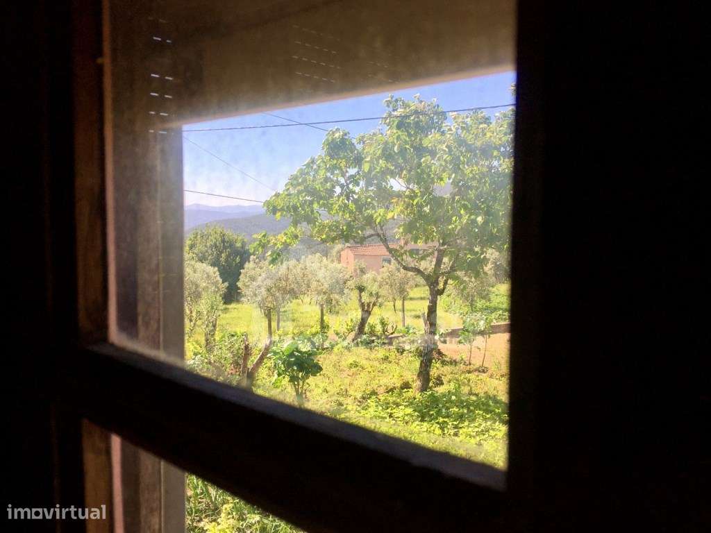 Casa de Campo T3 em Arega, Figueiró dos Vinhos-21