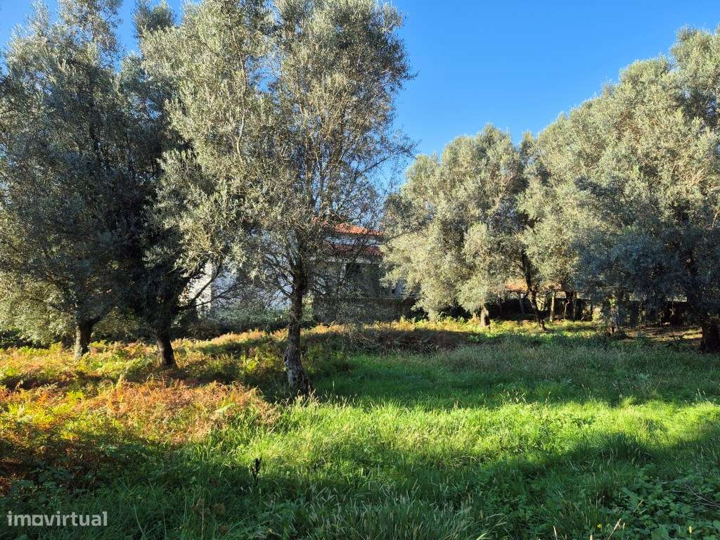 Terreno São Pedro Arcos - Grande imagem: 5/5