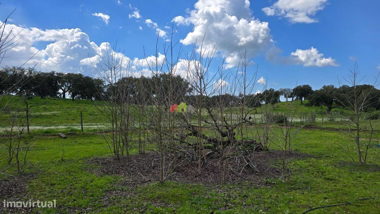 Quinta T2 em Fazendas do Cortiço-51
