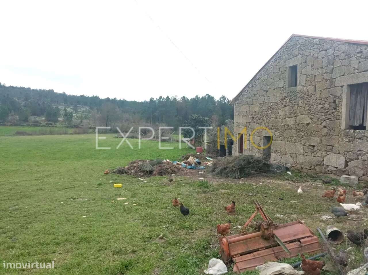 Casa Típica no campo V5 Matança Fornos de Algodres - Grande imagem: 4/25