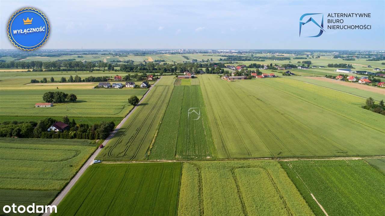 Działka budowlana w Wilczopolu - 1685 m2 - Pełny obrazek: 5/13