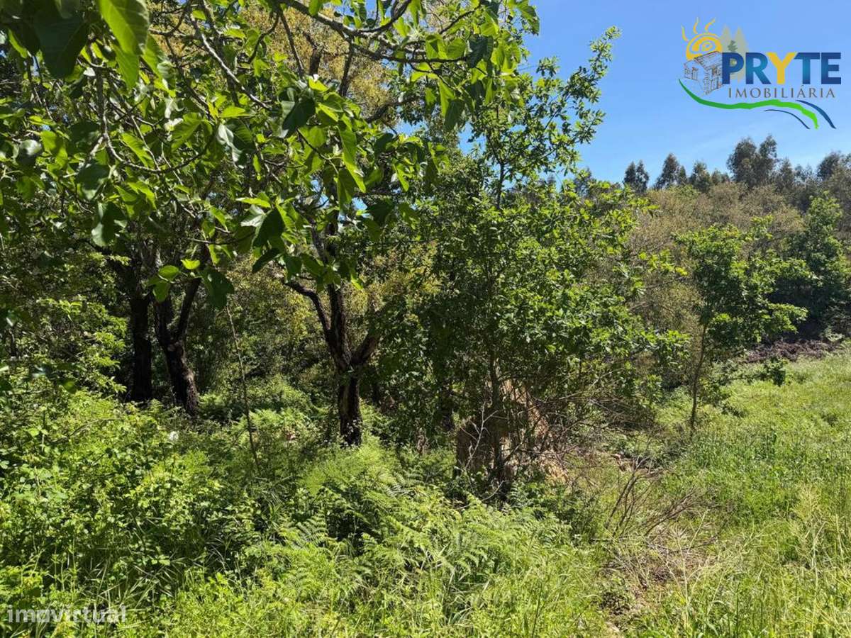 Terreno parcialmente dentro do perímetro urbano da aldeia-6