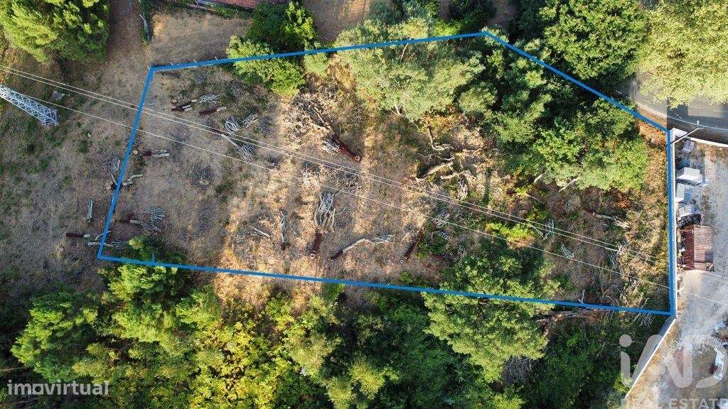 Terreno em Castanheira de Pêra e Coentral de 1517,00 m2 - Grande imagem: 5/29