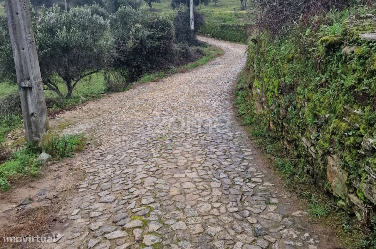 Terreno rustico , lugar do Plames, Murça - Grande imagem: 2/7