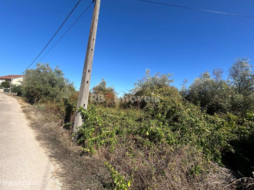 Terreno silvado com nora - Abadia, Serra de Tomar - Grande imagem: 5/12