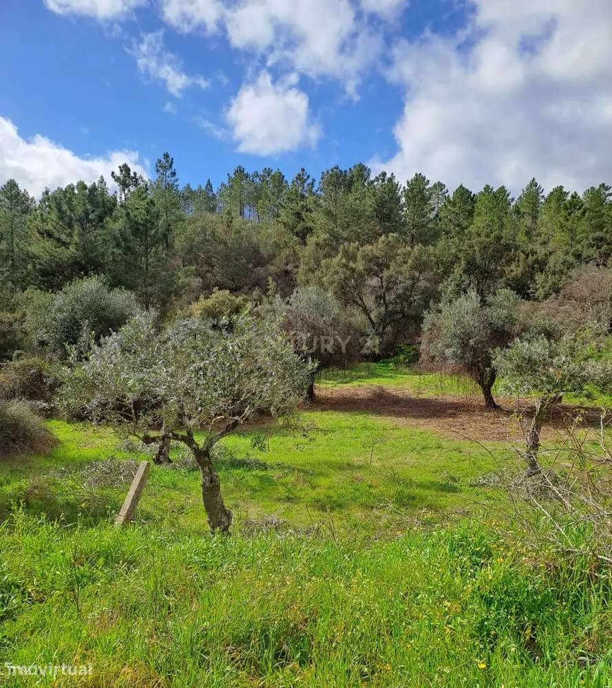 Quinta com 71280 m2  em Palvarinho, Castelo Branco - Grande imagem: 5/27