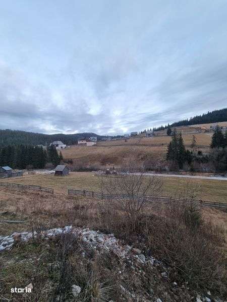 Teren de vanzare la munte langa vale poiana horea - Imagine principală: 5/5