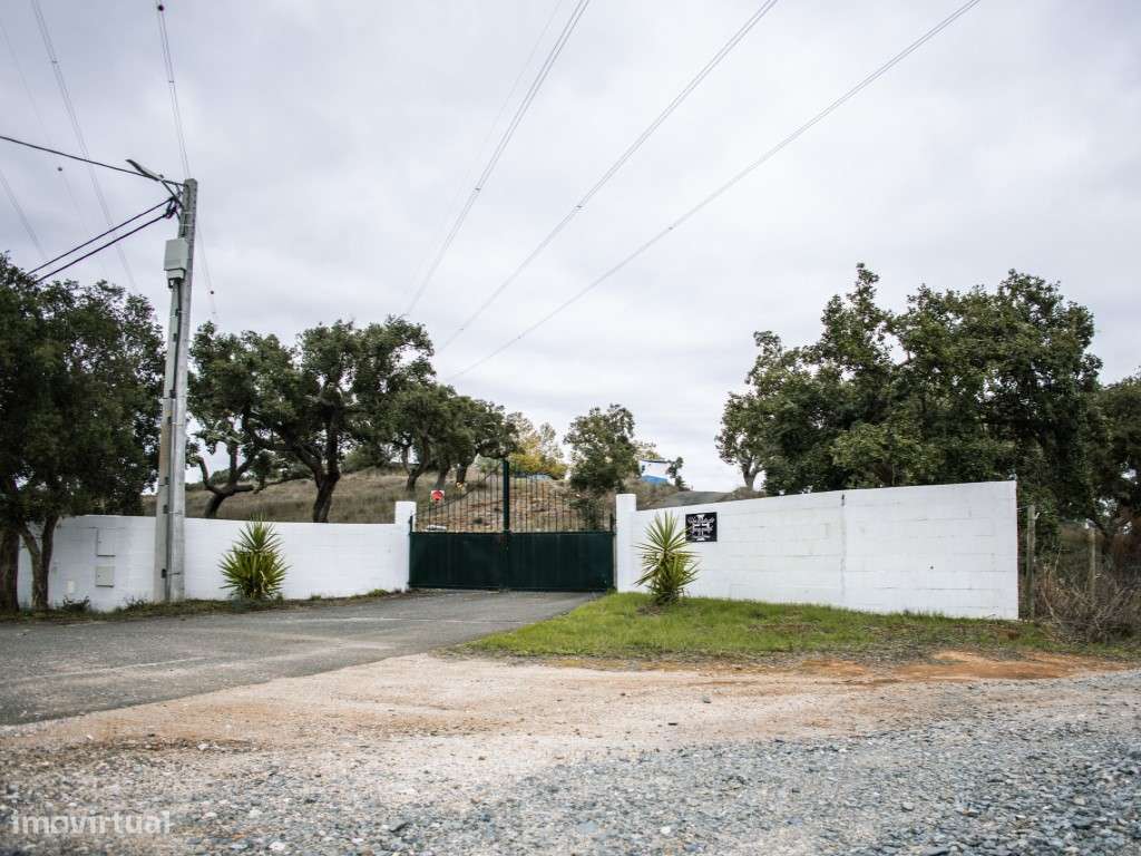 ** Fantástico Monte Alentejano com 50.000m2 Próximo a Maravilhosa C...-48