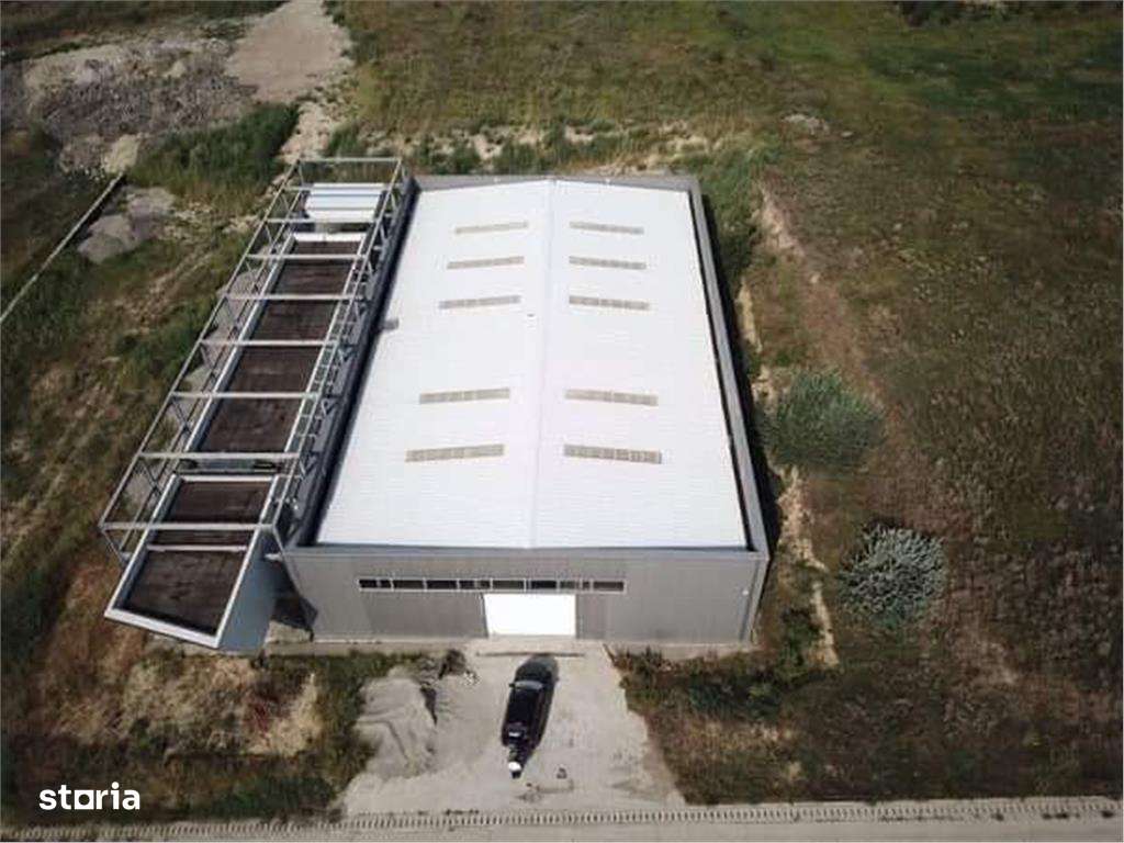 Hala 1300 MP, teren 3562 MP, E583 - Zona Bras - Imagine principală: 2/8