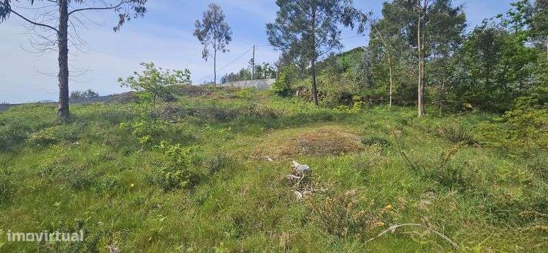 Terreno Rústico vista Rio Douro - Grande imagem: 5/7