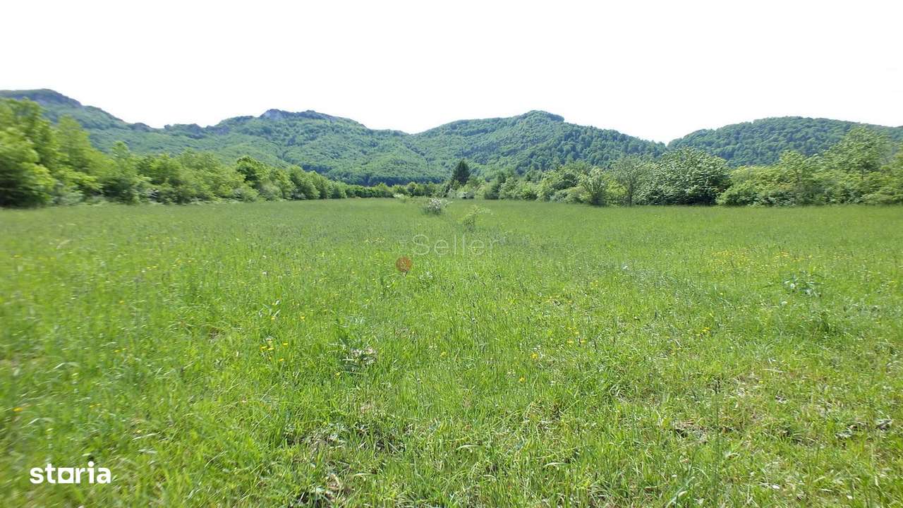 Teren Intravilan - Pretabil Investitie - Imagine principală: 4/7