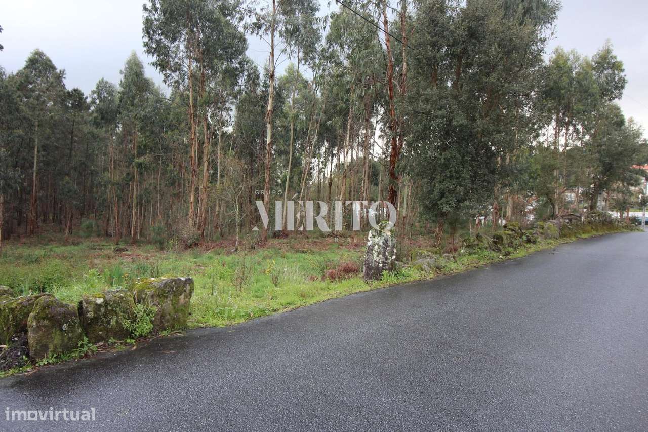 TERRENO PARA CONSTRUÇAO VILA COVA - Grande imagem: 4/7