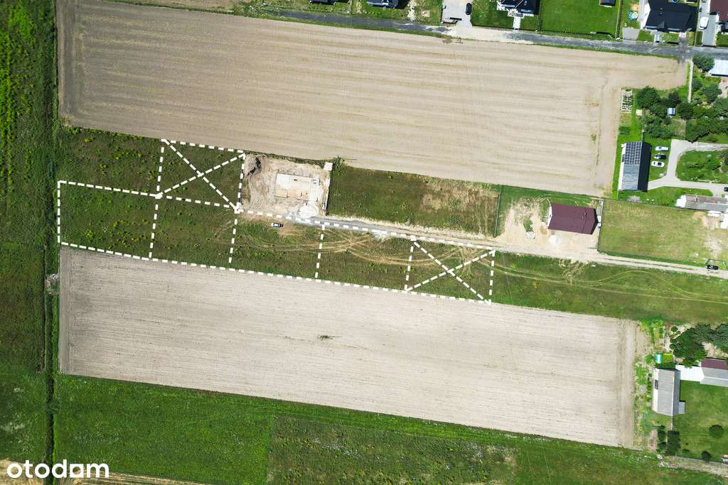 256/9020/OGS - Pełny obrazek: 3/12