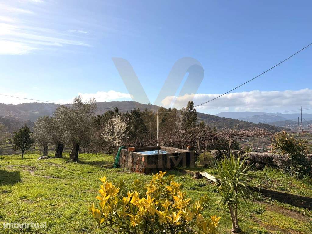 Propriedade com Casa Antiga T3 para Restauro - Beiral do Lima - Grande imagem: 2/27