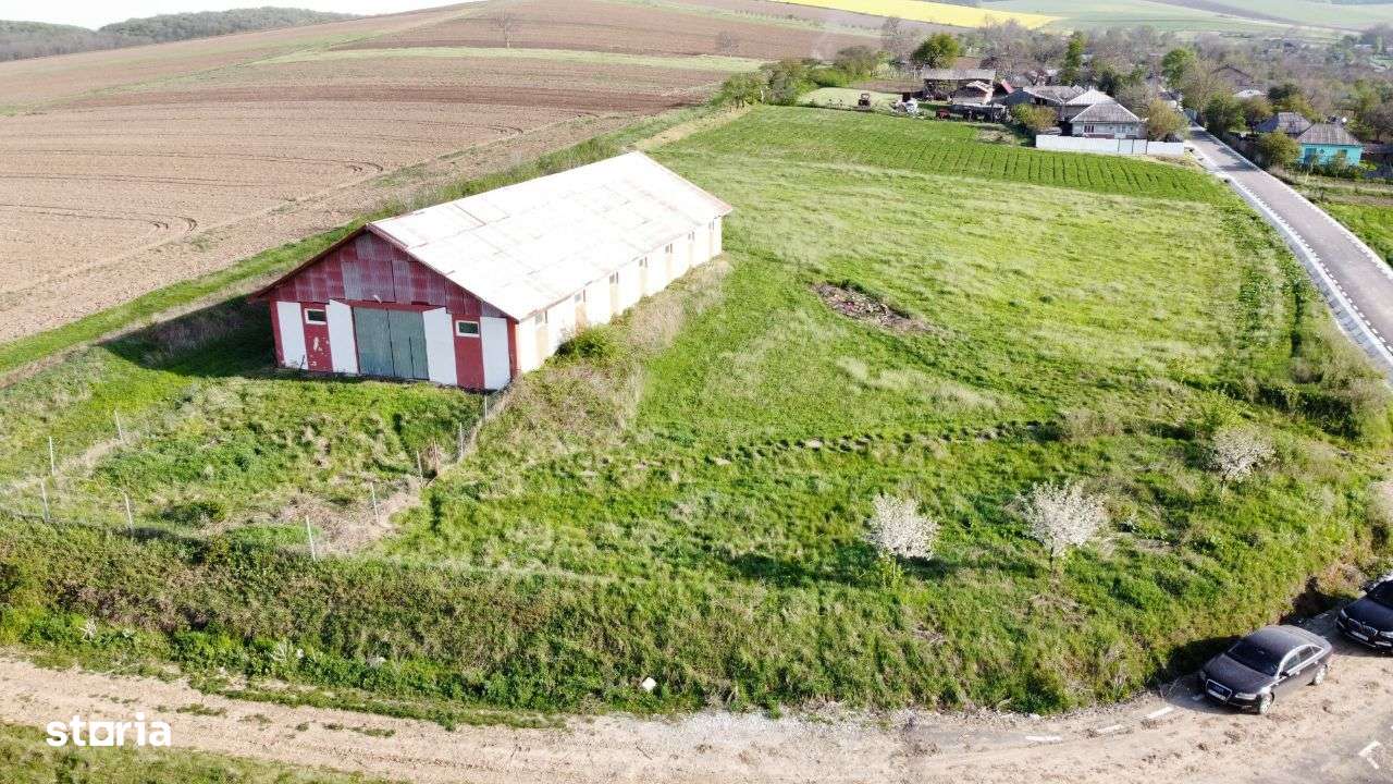 Hala - Spatiu Comercial - Livada , Sat Ciuturesti - Com. Secuieni-7