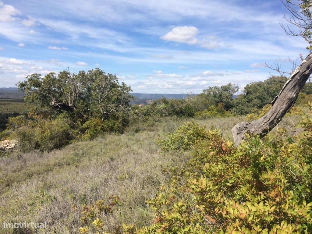 Terreno vista mar na Cruz da Assumada, Algarve - Grande imagem: 3/11