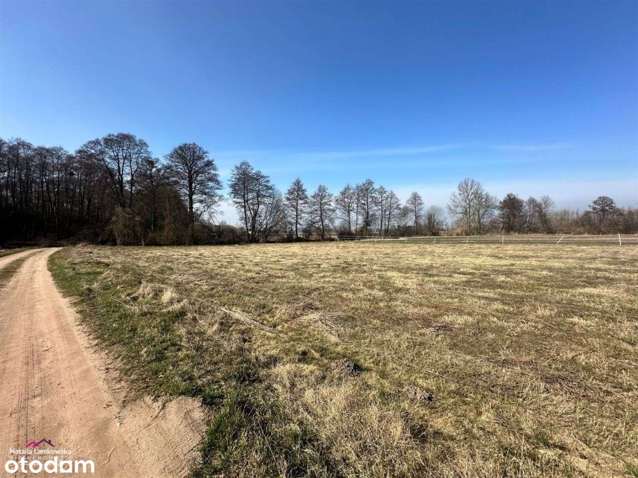 *PIEŃKI KRÓLEWSKIE*działka budowlana*warunki zabudowy* - Pełny obrazek: 5/9