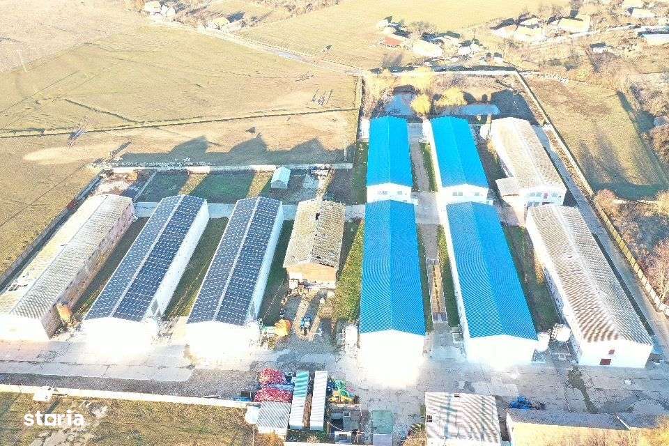 Hale de vanzare + balta de pescuit in Bihor-Nojorid-Les - Imagine principală: 4/12