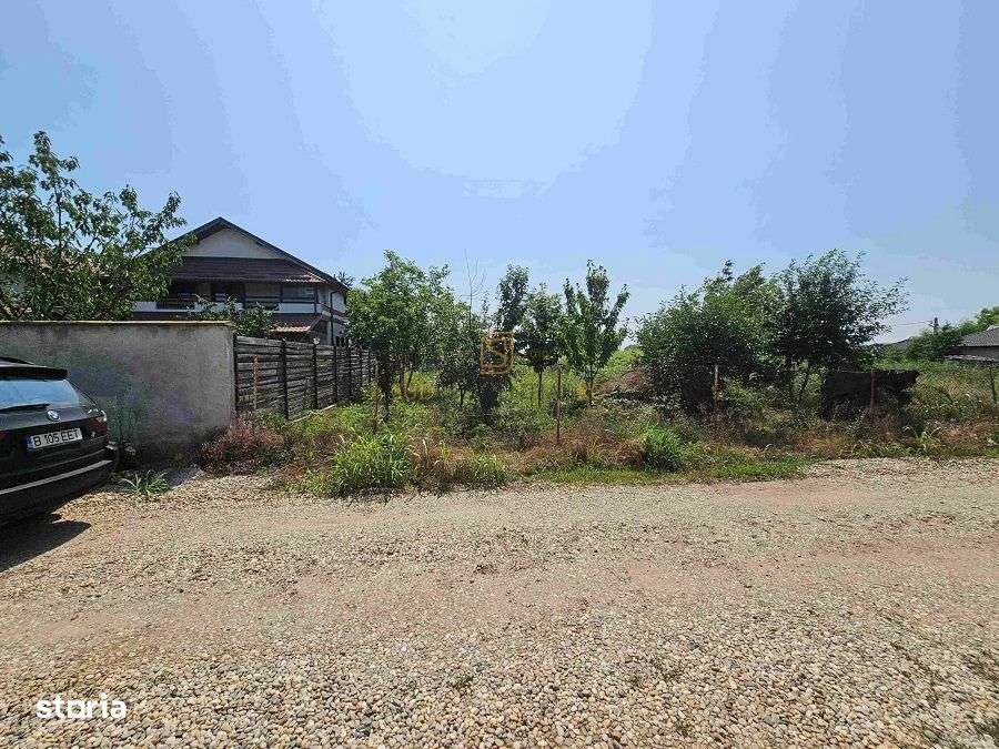 Teren de vanzare, 561 mp, strada Cetatea Alba, Mamina, Comuna Berceni - Imagine principală: 4/12