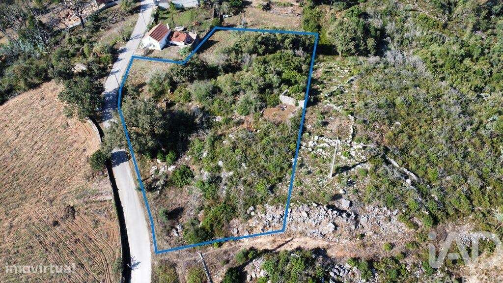 Terreno em Ansião de 3460,00 m2 - Grande imagem: 4/14