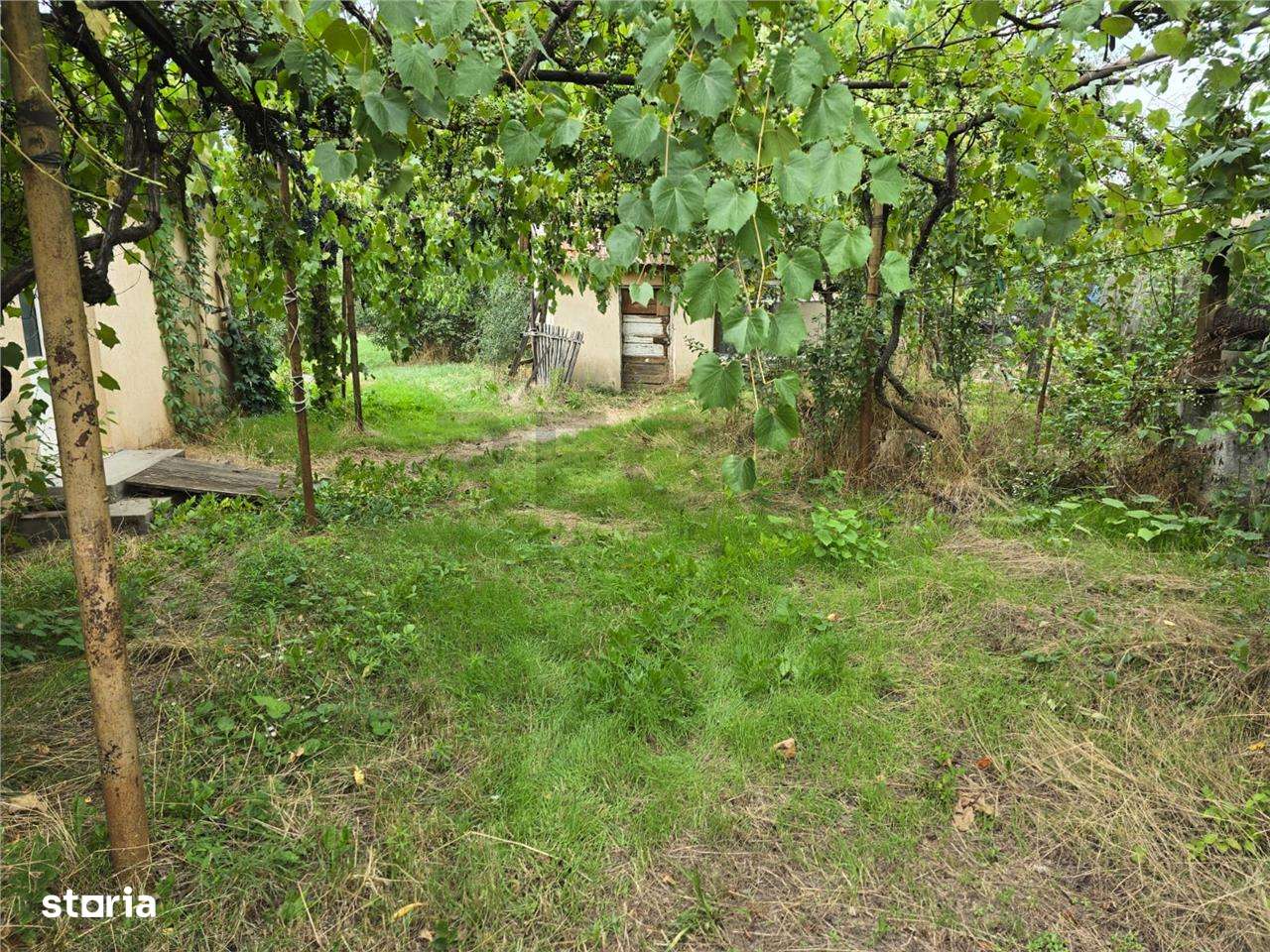 RECO IMOBILIARE CASA BATRANEASCA TINCA - Imagine principală: 5/13