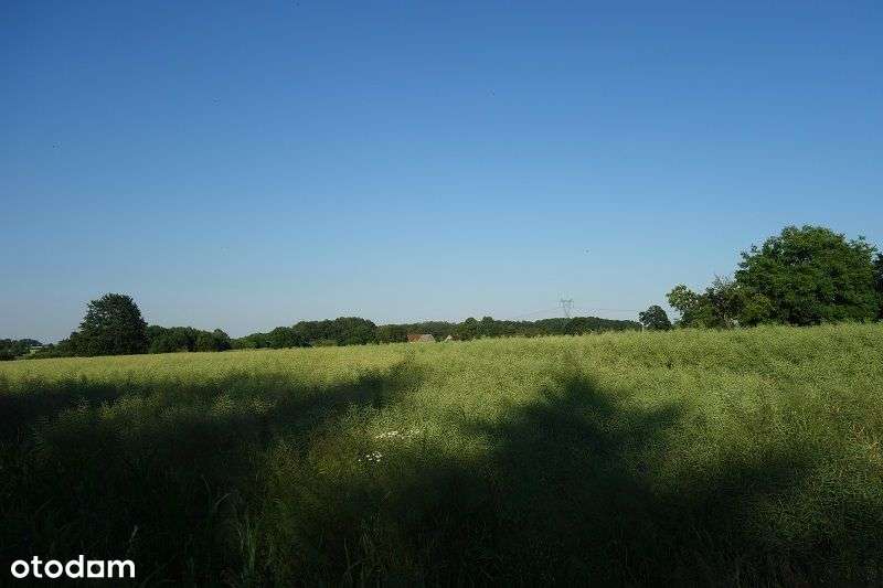 Oleśnica / Okolice / Budowlana - Pełny obrazek: 5/5