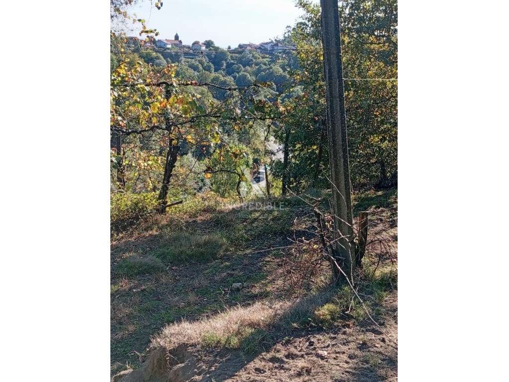 TERRENO RÚSTICO, BRAGA, Vila Verde - Grande imagem: 5/12