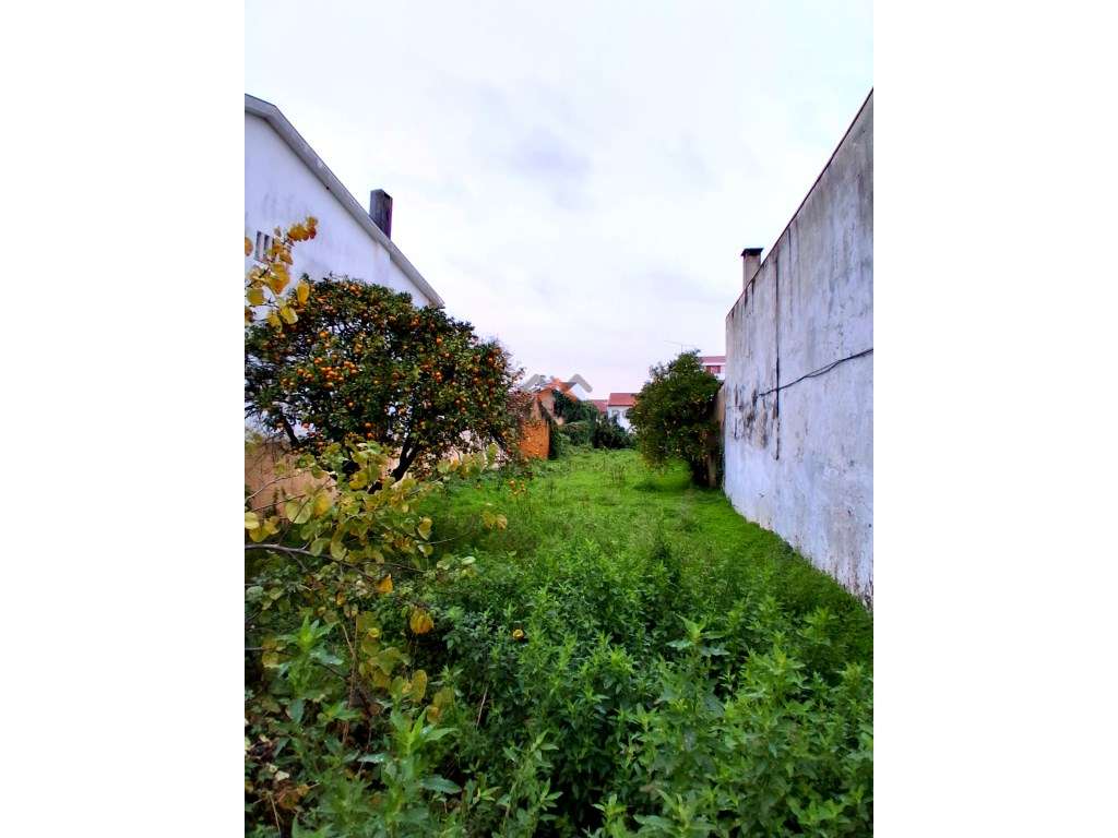 Terreno Urbano para Construção - Centro da Mealhada | Localização P... - Grande imagem: 5/8