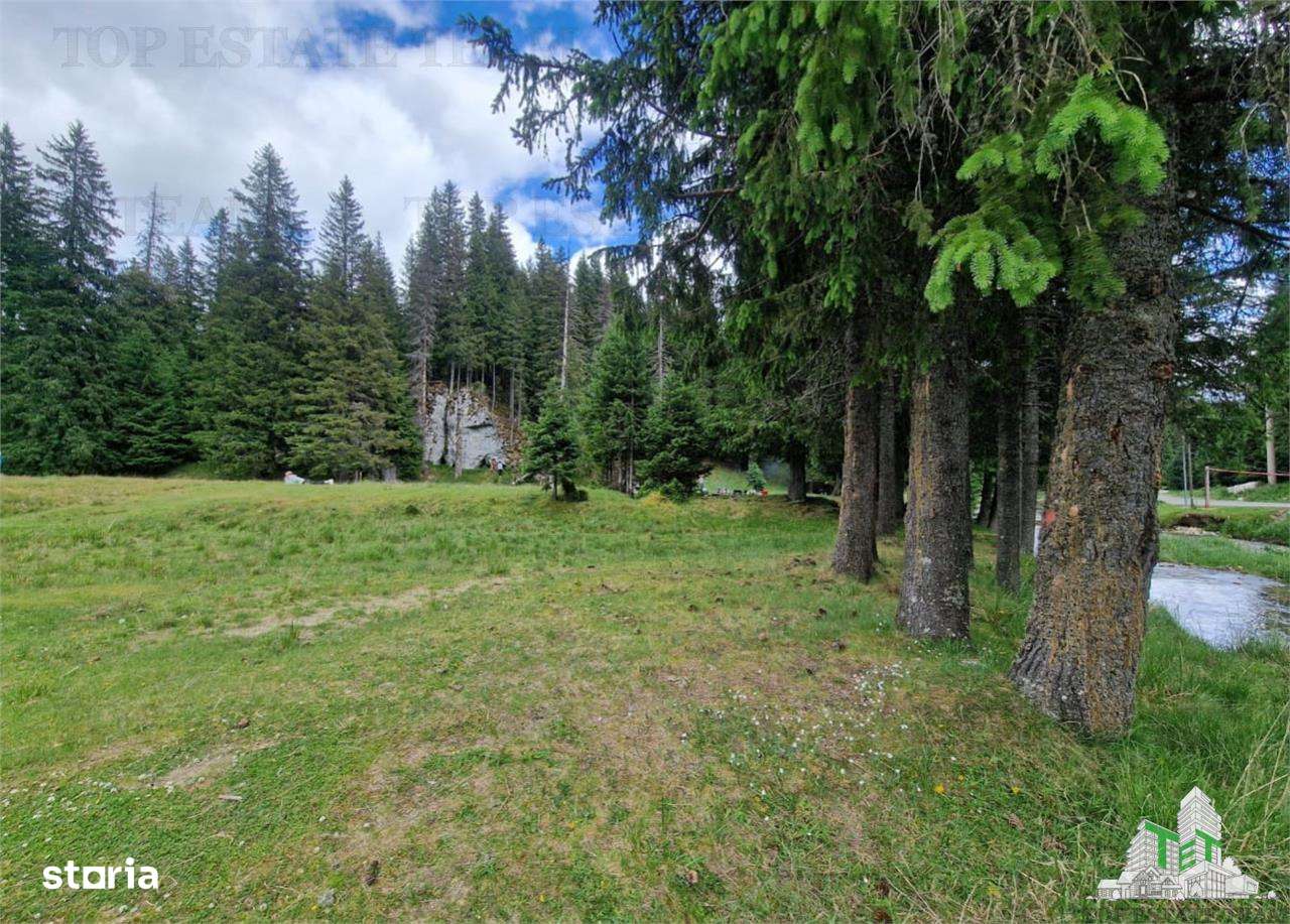Teren intravilan de vanzare Padina Muntii Bucegi - Imagine principală: 4/7