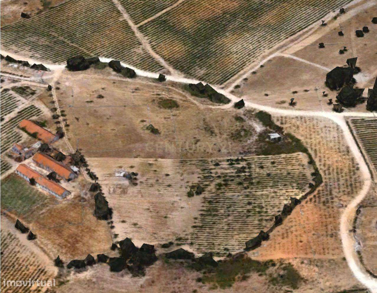 Terreno em Palmela - Grande imagem: 4/4