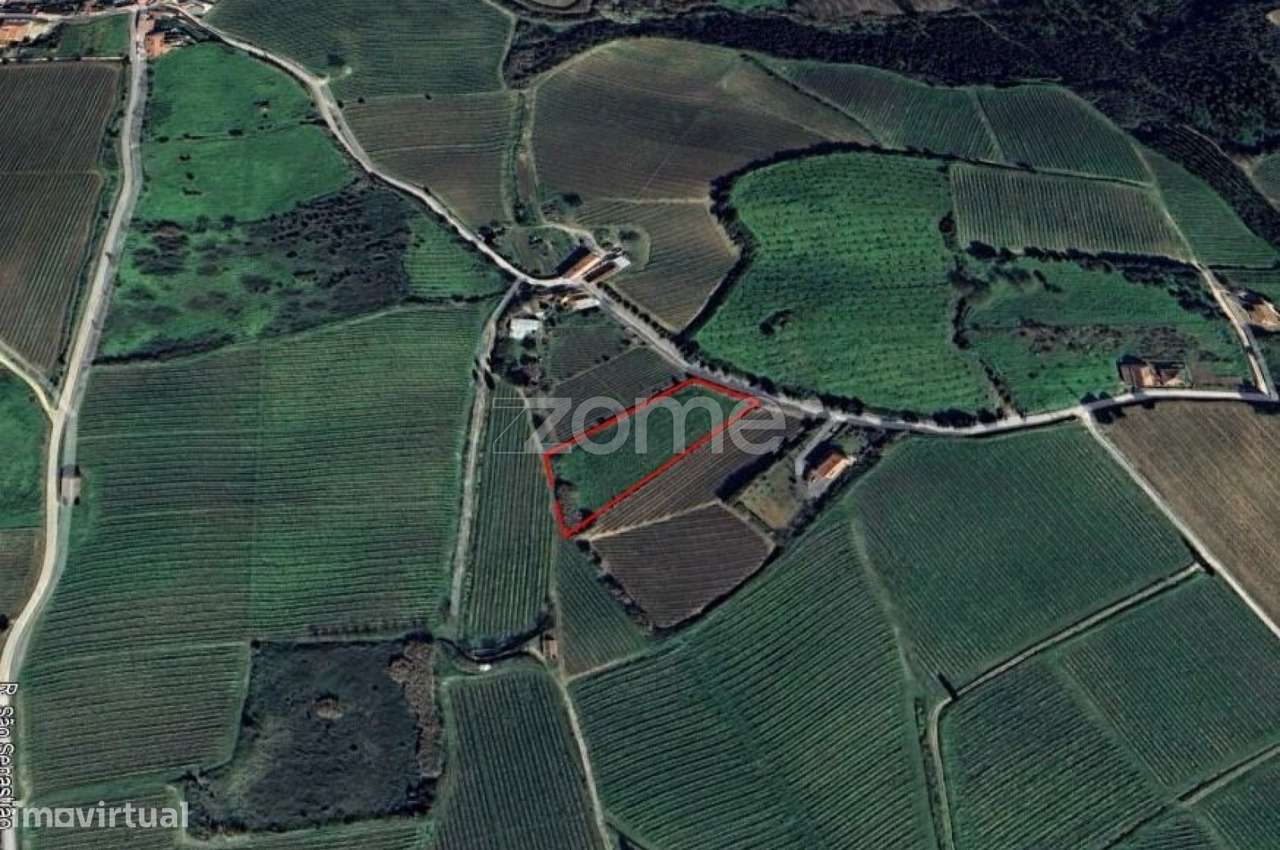 Terreno rústico em Aldeia Gavinha, Alenquer - Grande imagem: 3/11