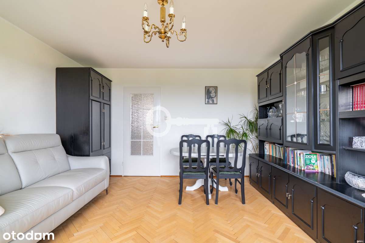 Las | Cisza | Komunikacja - Pełny obrazek: 3/9