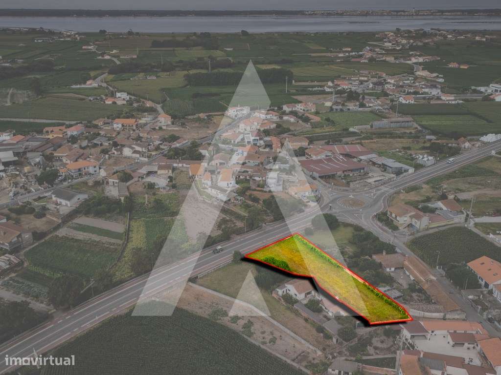 Terreno construção moradia - Murtosa - Ria de Aveiro-7