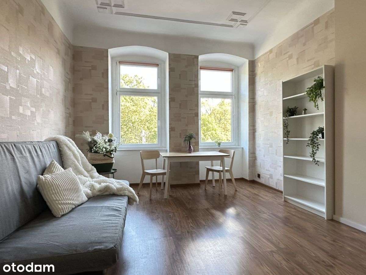 Przestronny pokój z widokiem na park - Nowowiejska - Pełny obrazek: 4/7