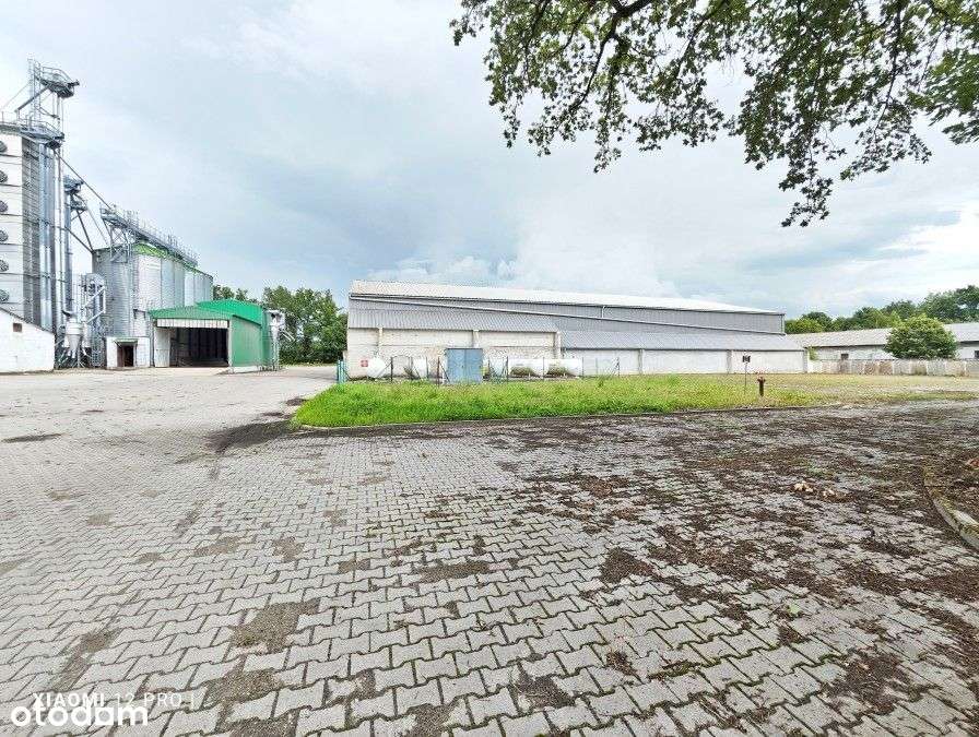 Lokal użytkowy, 26 472 m², Baszewice-10