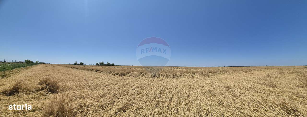 Teren de vanzare in apropiere de A0 - investitie si dezvoltare - Imagine principală: 5/7