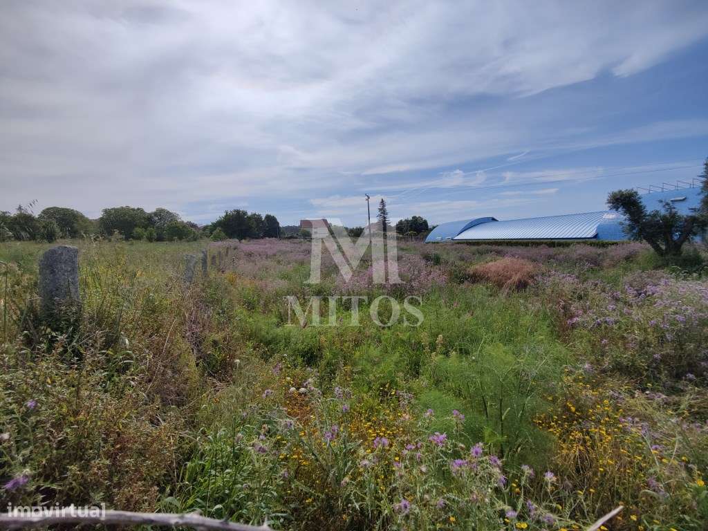 Terreno para construção - Vila Nova de Anha - Grande imagem: 2/17