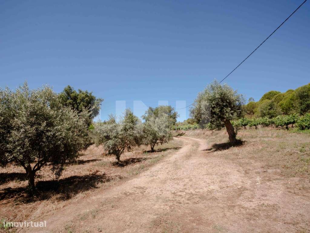 Herdade com 34 Hectares-30
