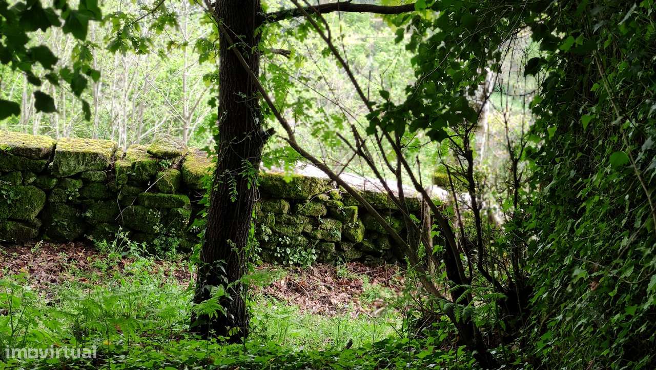 Quinta  Venda em Penhalonga e Paços de Gaiolo,Marco de Canaveses-29
