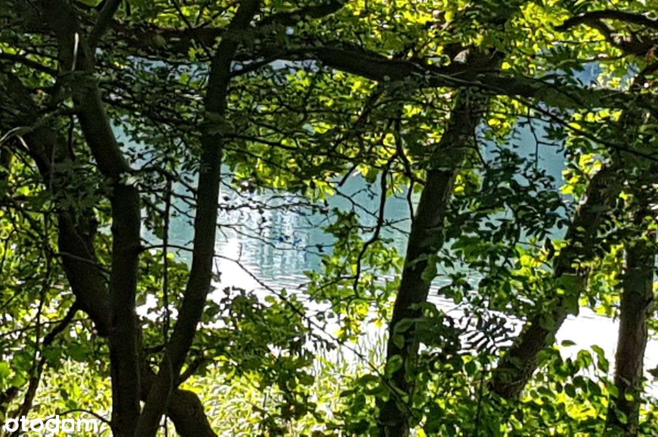 Mazury Trelkowo kompleks działek dla inwestora Okazja!-0